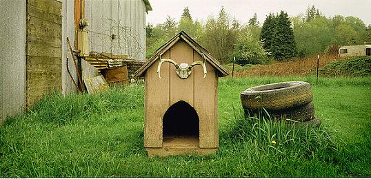 基岩版《我的世界》追加Addons功能 大量组件道具适用